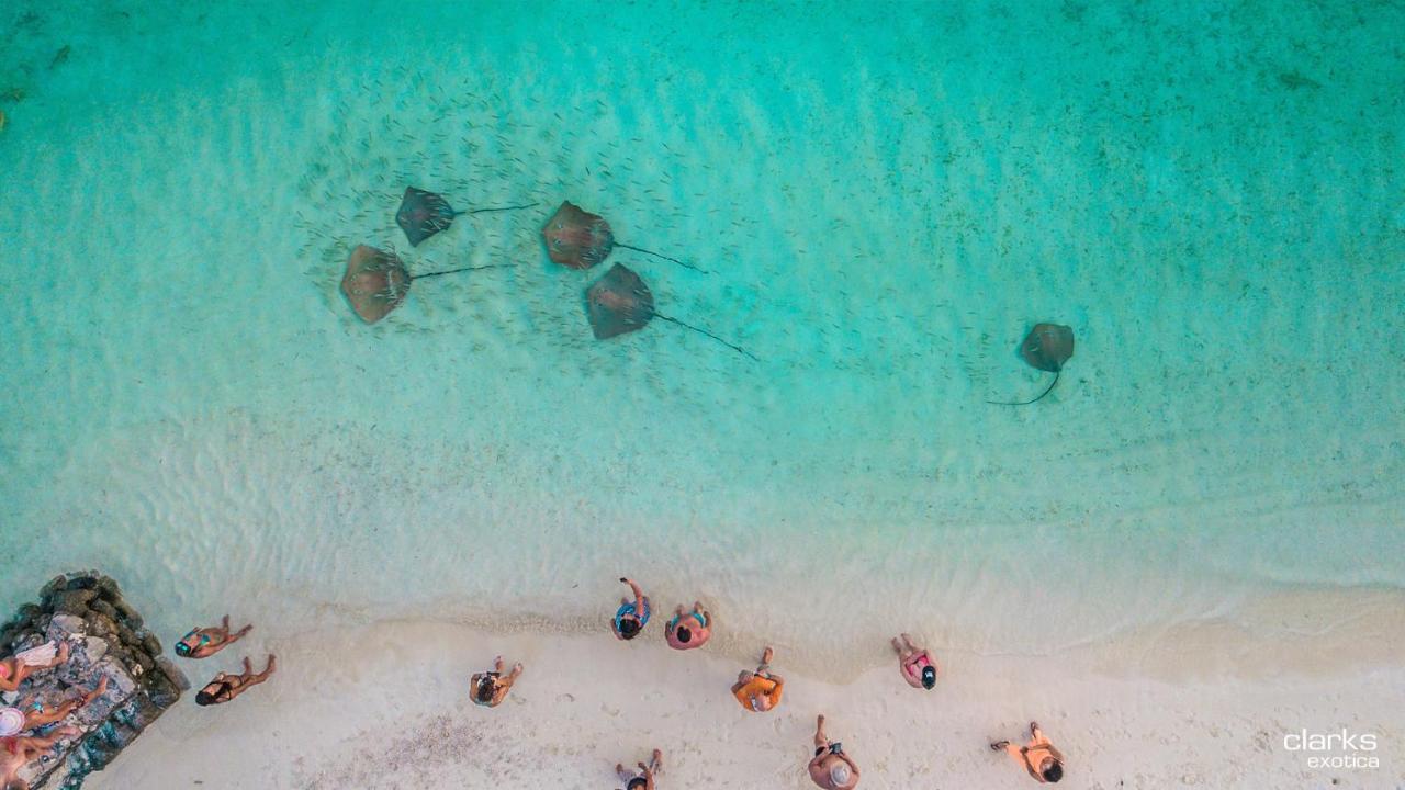 Swarn By Hawks Hotels Kamadhoo Eksteriør billede